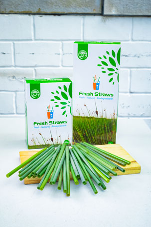 Grass Straws